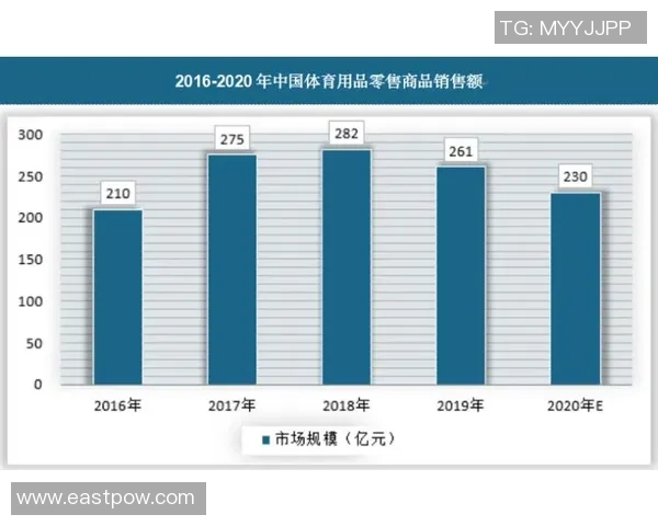 数据供应商在体育行业中的关键作用与价值分析